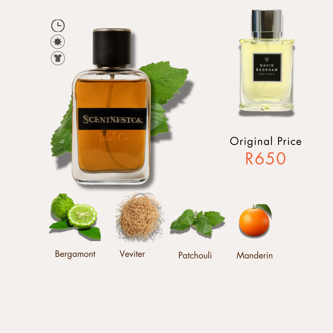 Inspired by David Beckham Instinct