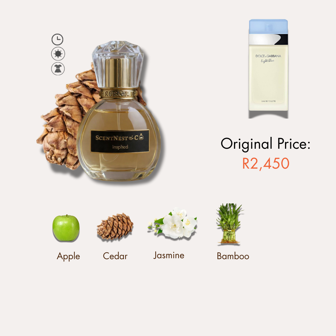 inspired by Dolce & Gabbana:  Light Blue