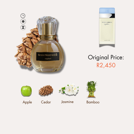 inspired by Dolce & Gabbana:  Light Blue